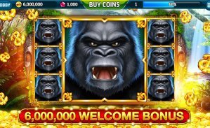 5588bet com